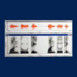 Voice Analysis For Speaker Identification